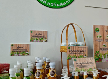 งาน “สีสรรพรรณไม้ เทิดไท้บรมราชินีนาถ” ประจำปี 2568 ... พารามิเตอร์รูปภาพ 41